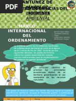 Ordenamiento Territorial Internacional