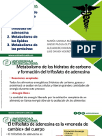 Metabolismo de Los Hidratos de Carbono y Formación Del Trifosfato de Adenosina 2. Metabolismo de Los Lípidos 3. Metabolismo de Las Proteínas