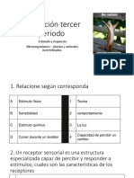 Taller de Rpeguntas Del Sistema Nervioso Grado Octavo