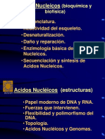 ANucleicos.ppt