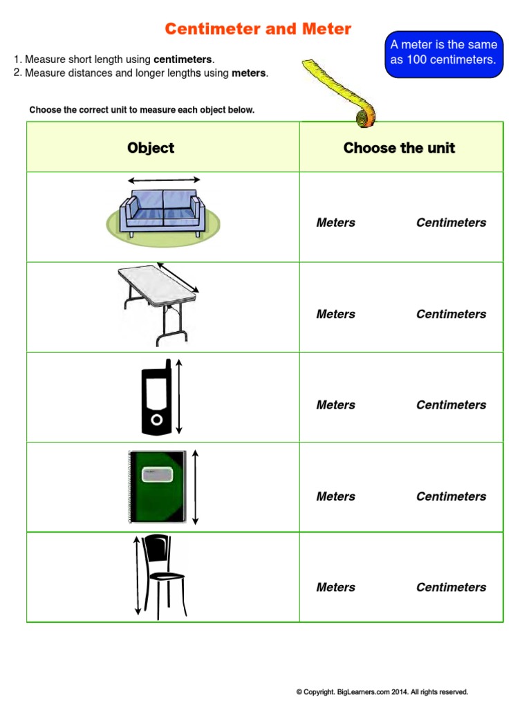 Centimeter and Meter: Object Choose The Unit | PDF