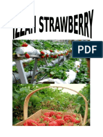 IZAH NSTRAWBERRY