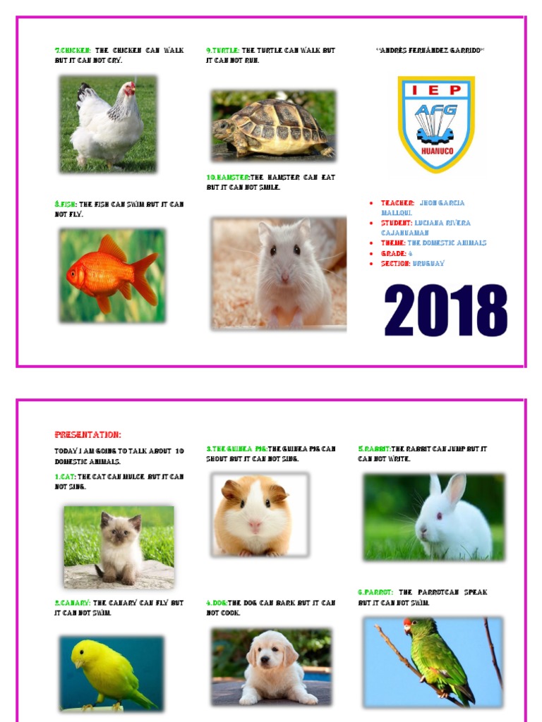 Domestic Animals Capabilities Overview | PDF