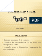 presentaciondiscapacidadvisual-111002225759-phpapp01