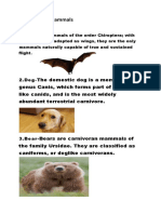 Examples of Mammals