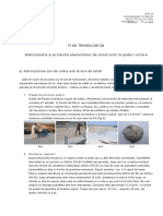 STO Fisa tehnologica - Izolarea podurilor.pdf