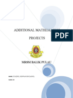 Addmath Project 2009