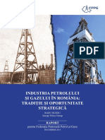 293273720-Raport-Industria-Petrolului-Gazului.pdf