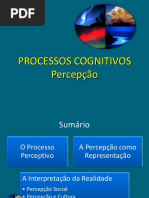 12115631 Processos Cognitivos a Percepcao