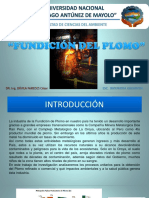 FUNDICION DEL PLOMO (2).pptx