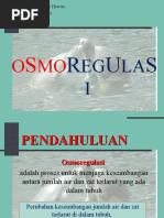 Download osmoregulasi by Youdhystira Putra Asmara Tanusasmita SN38537396 doc pdf