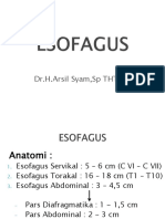 #ESOFAGUS