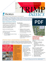 DIMP_Basics.pdf