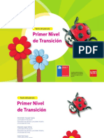 primer nivel detransicion 2017.pdf