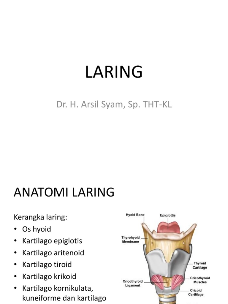 Anatomi dan Fungsi Laring | PDF
