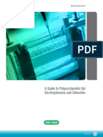 A guide to polyacrylamide gel electrophoresis and detection.pdf