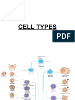Cell Types