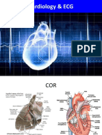 Cardiology & ECG