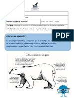 Bio4buni1n1cdl Adaptaciones