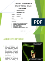 Accidente Ofidico