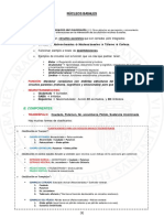 Núcleos Basales PDF