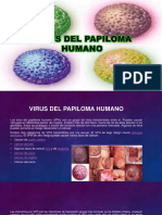 Virus Del Papiloma Humano