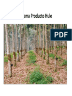 Impactos Hule PDF