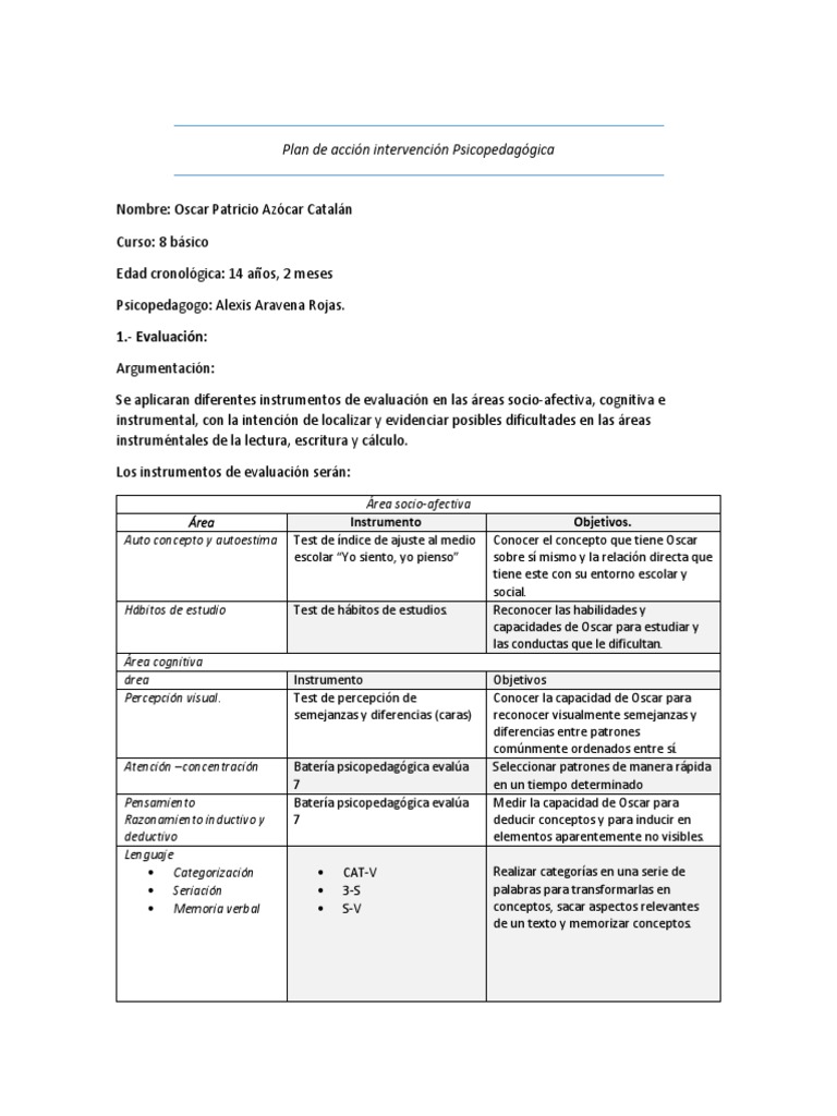 Plan de Accion Intervencion Psicopedagogica | PDF | Percepción | Evaluación