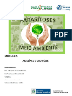 Amebíase e giardíase: protozoários entéricos