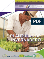 Plántulas de Invernadero