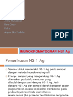 Imunokromatografi NS1