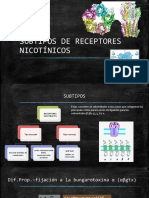 Subtipos de Receptores Nicotínicos