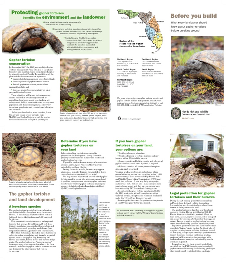 Gopher Tortoise Conservation Guidelines | PDF | Florida | Natural ...