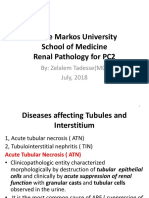 Interstitial,Tubular and Vascular Diseases