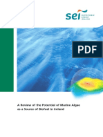 A Review of the Potential of Marine Algae.pdf