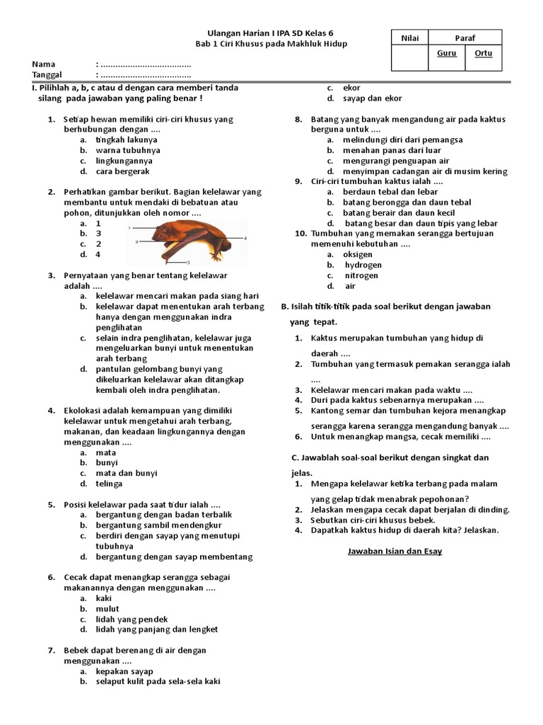 Test Online Ipa Kelas 6 Ilmusosial Id