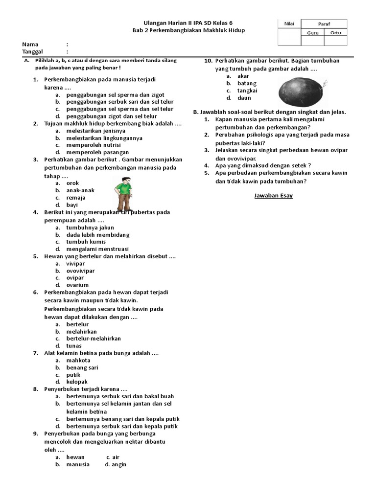 Soal Ulangan Harian Ipa Kelas 6 Bab 2 Perkembangbiakan Makhluk Hidup