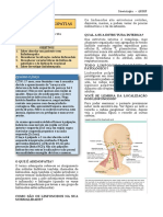 cadeia ganglionar.pdf