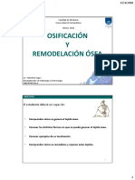 009_Osificacion y remodelacion.pdf