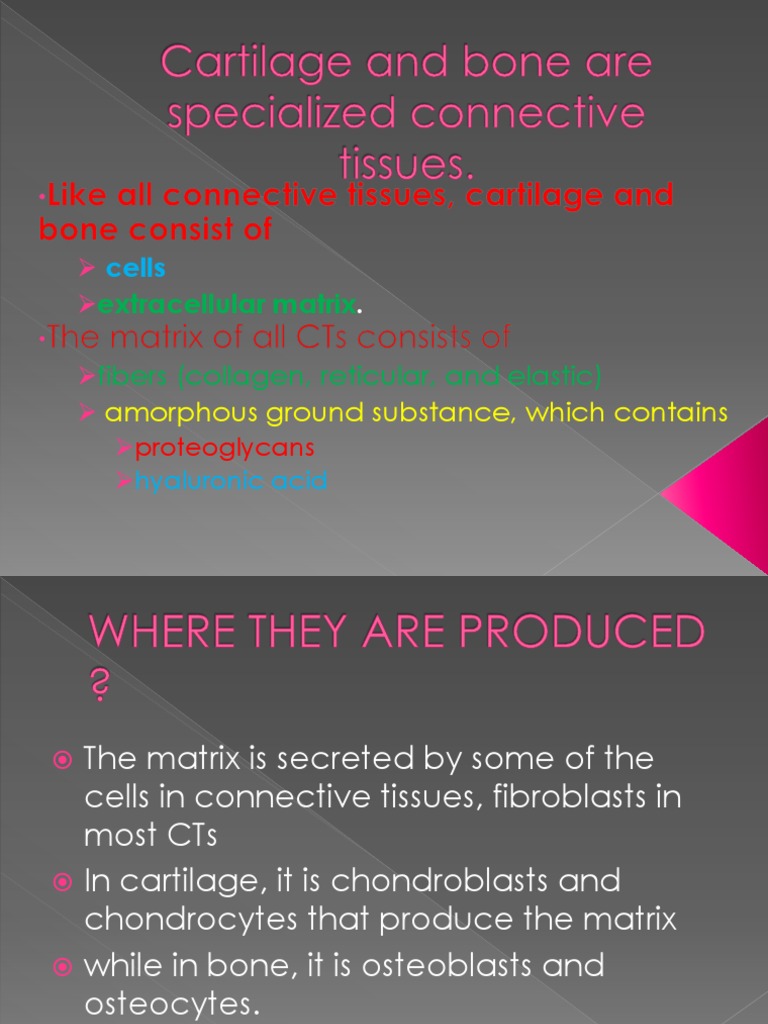Cartilage and Bone, Biokim | PDF | Bone | Cartilage