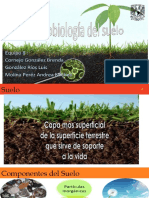 2 Microbiología del suelo.pdf