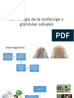 Semiología de La Orofaringe y Glándulas Salivales