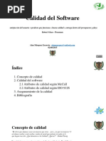 Calidad Del Software