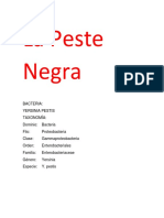 Peste Negra