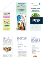 triptico_alimentos