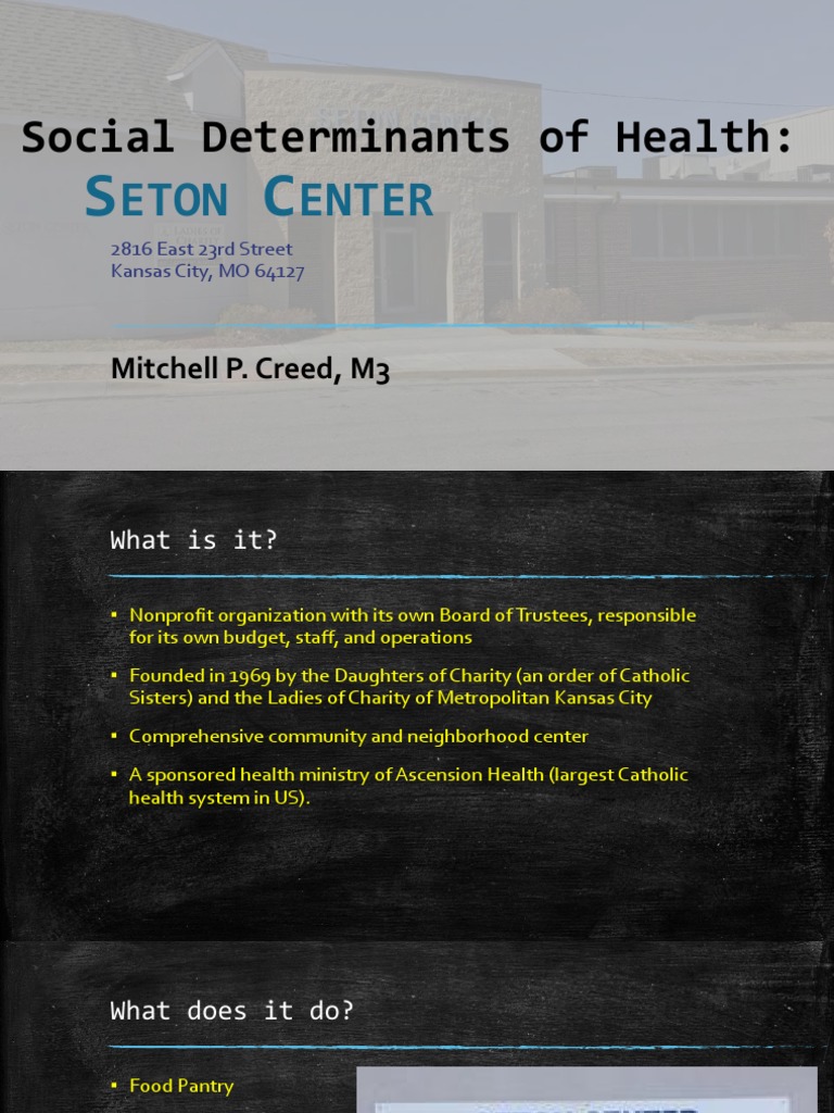 Social Determinants of Health | PDF