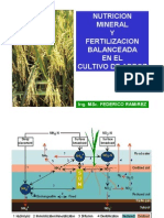 Nutricion y Fertilizacion Del Arroz - 2006