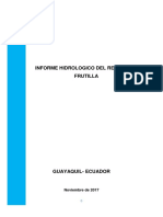 Informe Frutilla