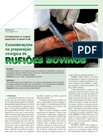 Rufiões Bovinos