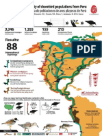 Migratory Shorebirds Project Peru